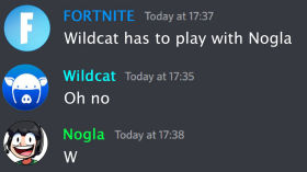 Fortnite but Wildcat has to play with me by Nogla